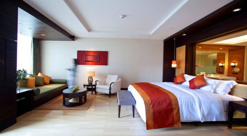 親子精選 中秋國慶假期來了 在惠州這座森林秘境里靜享親子時光