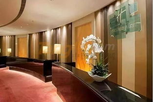 2019天津秋季糖酒會食品飲料酒店金三角格局 海河夏日酒店