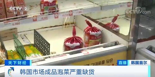 泡菜都腌不起了 一棵大白菜賣出62元 天價 這里240家工廠停工 餐廳的免費泡菜也沒了...